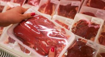 Tarifas de Trump levam preços da carne bovina nos EUA ao pico histórico de US$ 28/kg