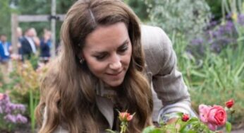 Kate Middleton surprises with blonde hair at royal event, sparking mixed reactions