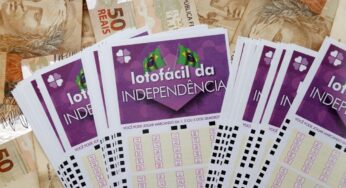 Lotofácil da Independência 2025 promete R$ 220 milhões: veja chances e como apostar