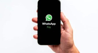 WhatsApp introduzirá nomes de usuário para proteger números de telefone dos usuários