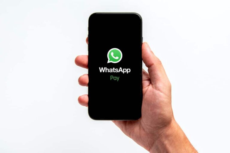 Pagamentos via WhatsApp – Siker Stock/ Shutterstock.com