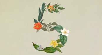 Inteligência artificial: Claude Sonnet 5 da Anthropic promete autonomia inédita a custo acessível