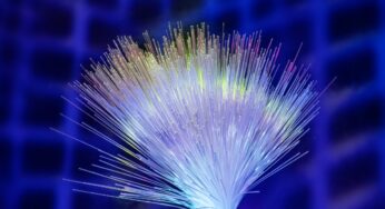 YOFC e parceiros batem recorde global de velocidade em fibra óptica de núcleo oco com 1,2 Tb/s por canal