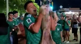 Cadela desaparecida há um mês é reencontrada em meio à euforia de torcedores na Copa do Mundo