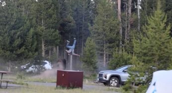 Homem é arremessado por bisão em Yellowstone, sofre fraturas e viraliza em vídeo de ataque inesperado