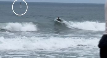 Tubarão-branco salta da água próximo a bodyboarder em registro raro na Califórnia