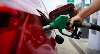 Gasolina no Brasil eleva teor de etanol para 32% em agosto: impactos e cuidados para veículos não flex