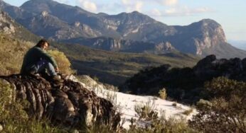 Nova espécie de planta lilás é descoberta em Minas Gerais e batizada em homenagem a ambientalista