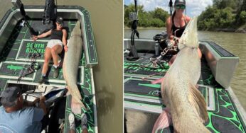 Fenômeno da pesca manual, ‘Garota-Bagre’ surpreende com captura de peixe-jacaré gigante