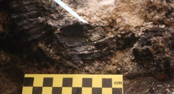 Descoberta em Jerusalém: Vigas do Primeiro Templo de Salomão trazem nova precisão à história antiga