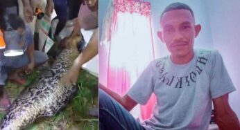 Píton de sete metros mata e devora homem que retornava de bar na Indonésia