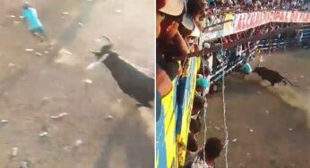 Homem morre após ataque de touro em festival controverso na Colômbia