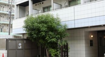 Tragédia Inesperada em Nagoya: Mulher Morre Atingida por Queda de Homem do 12º Andar