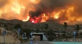 Incêndio sem precedentes na Andaluzia mata doze e deixa dezenas de desaparecidos sob alerta climático