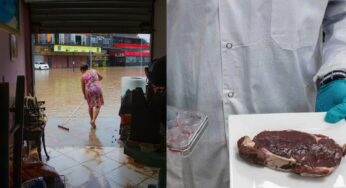 Cientistas alertam para futuro caótico com aquecimento global e preveem carne de laboratório no século XXII
