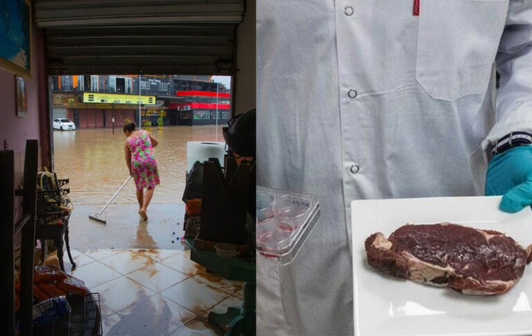 Enchente e carne cultivada em laboratório — Foto: Domingos Peixoto e Divulgação/Aleph Farms (foodtech israelense)