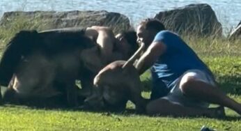Briga entre homens em parque de San Diego ganha contornos violentos com ataque de cães