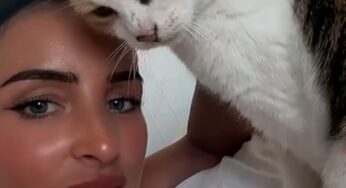 Após uma década desaparecida, gata Charlie reencontra tutora no Reino Unido em dia de aniversário