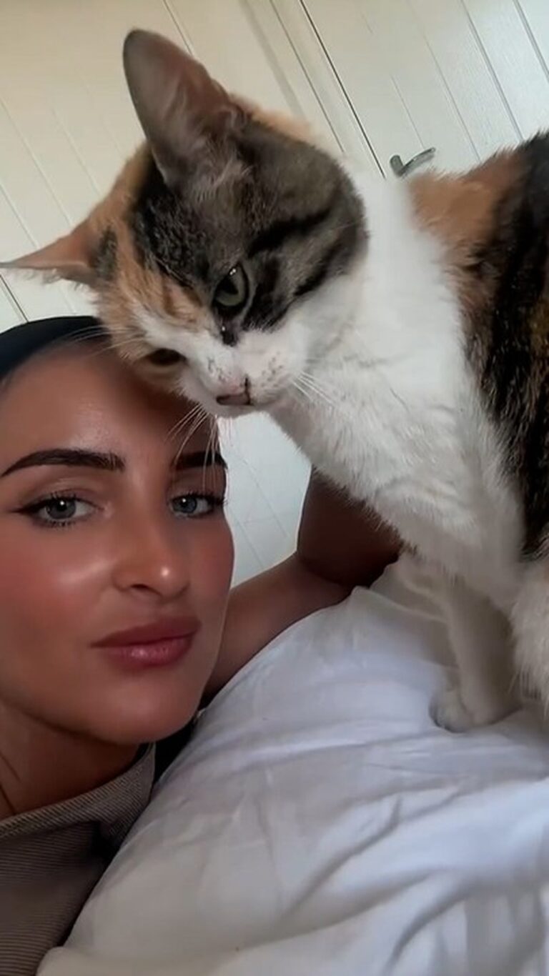 Desaparecida há uma década, a gata Charlie retornou para sua tutora, Lucy, no dia de seu aniversário de 30 anos — Foto: Reprodução/Facebook
