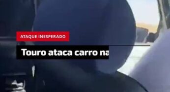 Touro investe contra carro e estilhaça janela em festival rural na Espanha