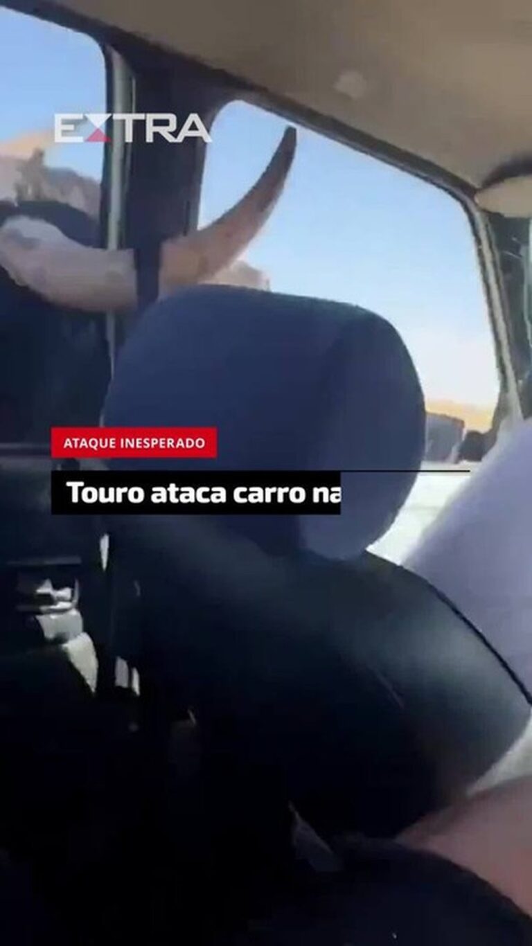 Touro investe contra carro e estilhaça janela em festival rural na Espanha