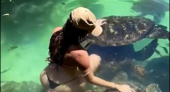 Modelo é mordida por tartaruga em aquário natural de Zanzibar durante ensaio fotográfico