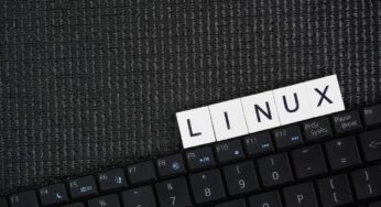 Linux conquista mais de 10% do mercado nos EUA e impulsiona debate sobre seu ‘ano’ em 2026