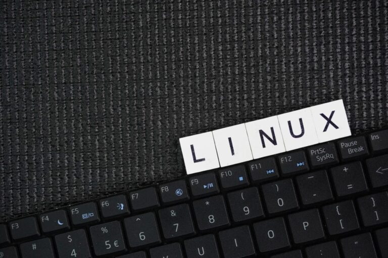Linux conquista mais de 10% do mercado nos EUA e impulsiona debate sobre seu 'ano' em 2026
