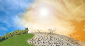 El Niño pode elevar preços de alimentos em até 20% e pressionar inflação no Brasil