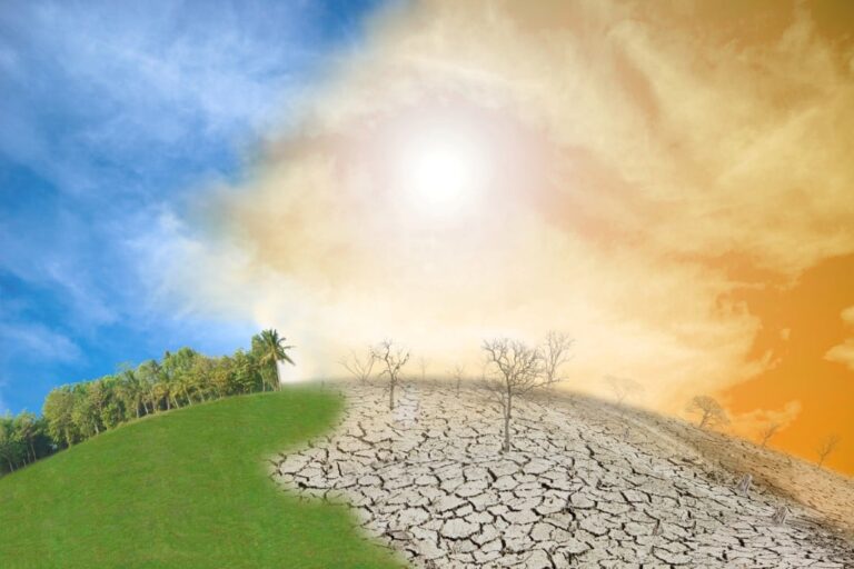 El Niño pode elevar preços de alimentos em até 20% e pressionar inflação no Brasil
