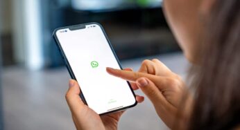 WhatsApp eleva personalização no iOS com novas categorias de temas e fundos animados