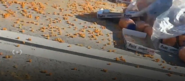 Milhares de bolinhas de queijo caem em rodovia nos EUA e interditam o tráfego — Foto: Reprodução/X
