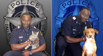 Sargento da Polícia de Dallas é suspenso por 15 dias após enviar fotos íntimas de colega para si mesmo
