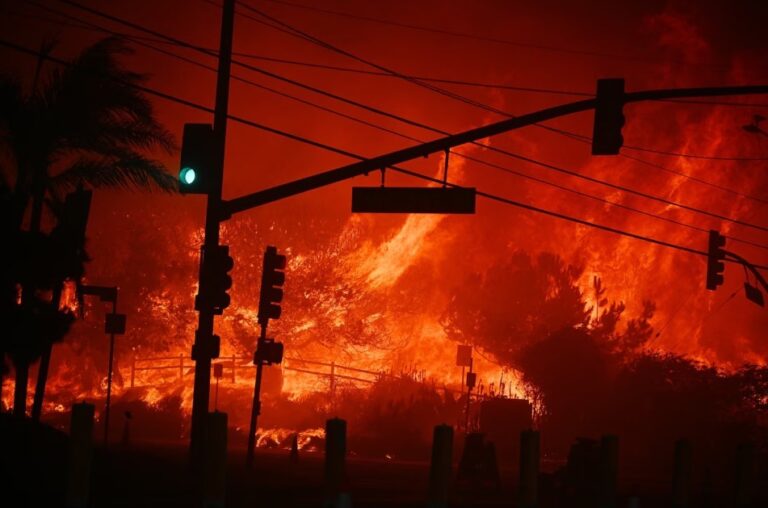 Incêndio em Palisades (Califórnia) em 2025 — Foto: AFP
