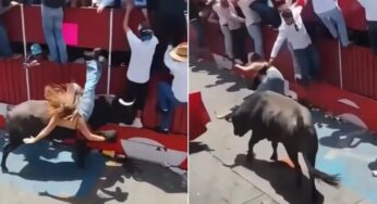 Jovem sofre ferimentos graves no rosto em festival de touradas no México, reacendendo debate sobre segurança