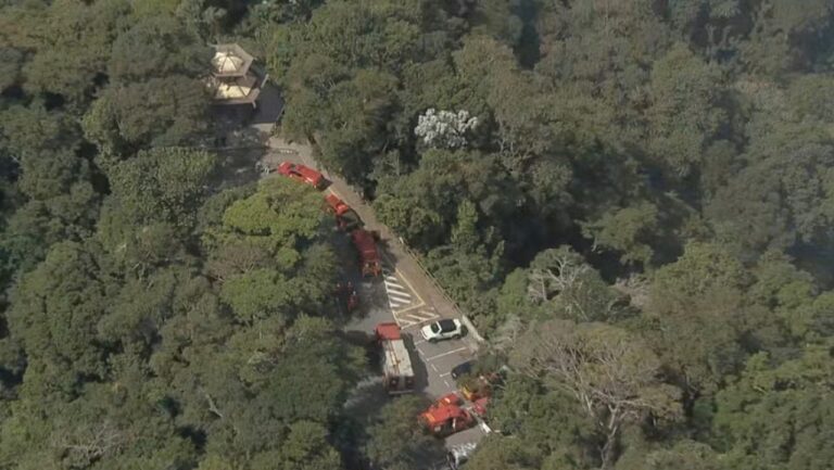 Quatro mortos após queda de helicóptero em área de mata fechada na Zona Sul do Rio