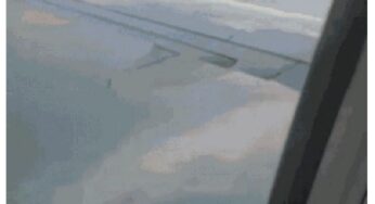 Turbina de Boeing 737 Incendeia após Colisão com Pássaros e Força Pouso de Emergência nos EUA