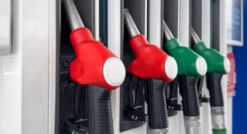 Intervenção Governamental Mantém Preço da Gasolina Estável na Bomba Apesar de Reajuste da Petrobras