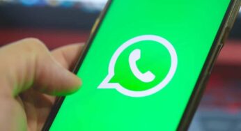 WhatsApp no iOS ganha novas categorias de temas com papéis de parede animados e de natureza para personalizar chats