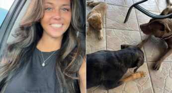 Acusada de zoofilia na Flórida ganha apoio em redes sociais e vaquinha para custear processo