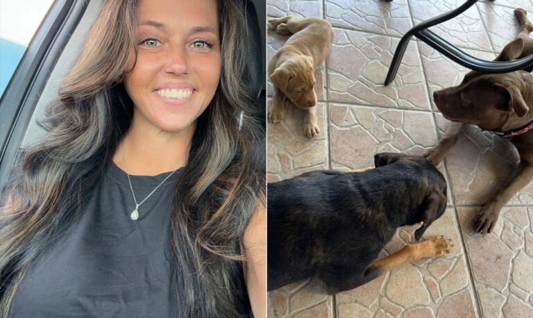 Malia Nummerdor arrecada fundos para sua batalha judicial em processo de zoofilia — Foto: Reprodução/Redes Sociais