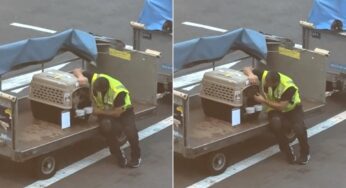Funcionário do aeroporto de Amsterdã acalma cão em trânsito e vídeo comove internautas