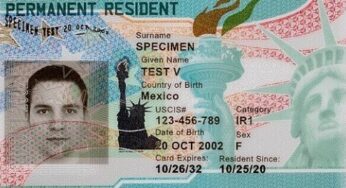 Fila por Green Card nos EUA atinge 179 anos de espera para imigrantes de alguns países