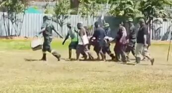 Tratador de répteis é atacado por crocodilo e morre em parque na Papua-Nova Guiné