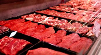 União Europeia Suspende Importação de Carnes Brasileiras por Falta de Controle em Antimicrobianos