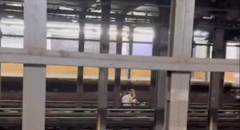 Tragédia no metrô de Nova York: Casal de 24 anos morre após ser atropelado nos trilhos