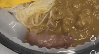 Filhote de Rato Vivo é Descoberto em Marmita, Levando à Interdição de Restaurante em Hong Kong