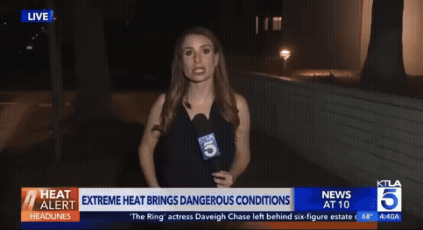 Repórter da KTLA mantém serenidade ao vivo após barata voadora pousar em seu corpo e viraliza