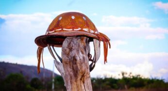 Dia do Nordestino em 8 de outubro celebra rica cultura e reforça legado de Patativa do Assaré no Brasil
