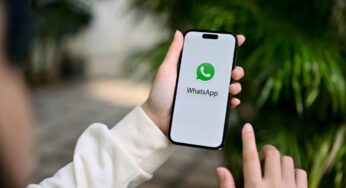 WhatsApp testa figurinhas com áudio no Android para ampliar interatividade